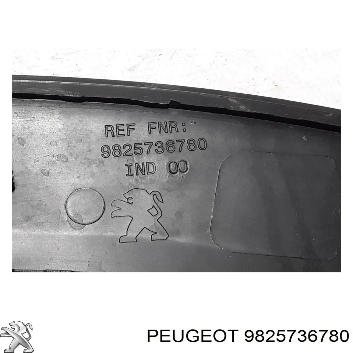 Compre 9825736780 Peugeot/Citroen 