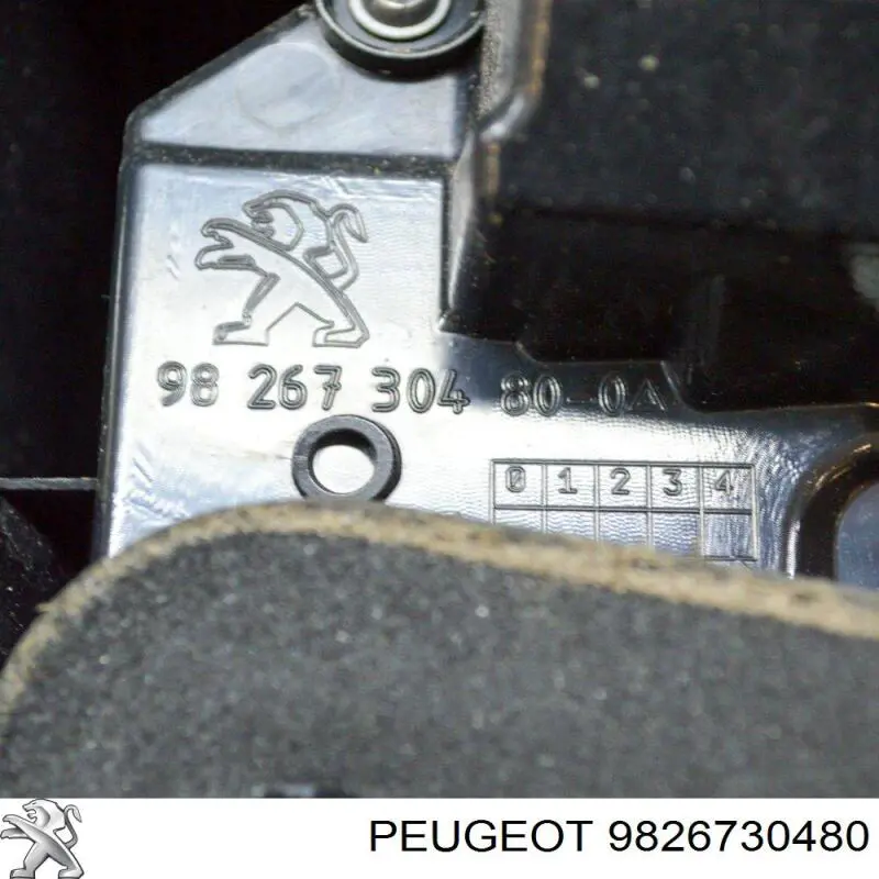 Compre 9826730480 Peugeot/Citroen Lanterna traseira esquerda externa