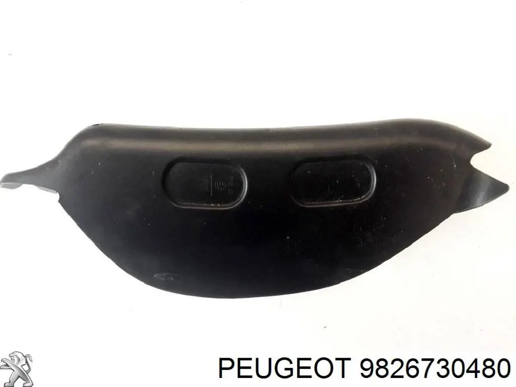 Lanterna traseira esquerda externa 9826730480 Peugeot/Citroen