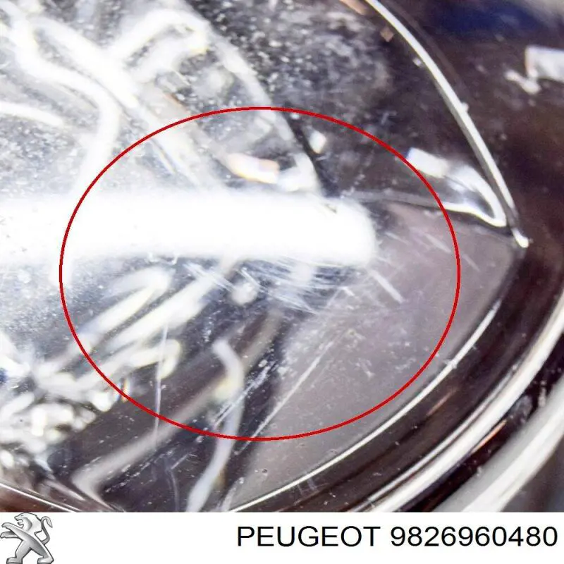 9826960480 Peugeot/Citroen Luzes de nevoeiro esquerdas/direitas