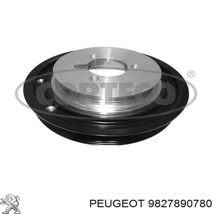 Compre 9800864680 Peugeot/Citroen Polia de cambota