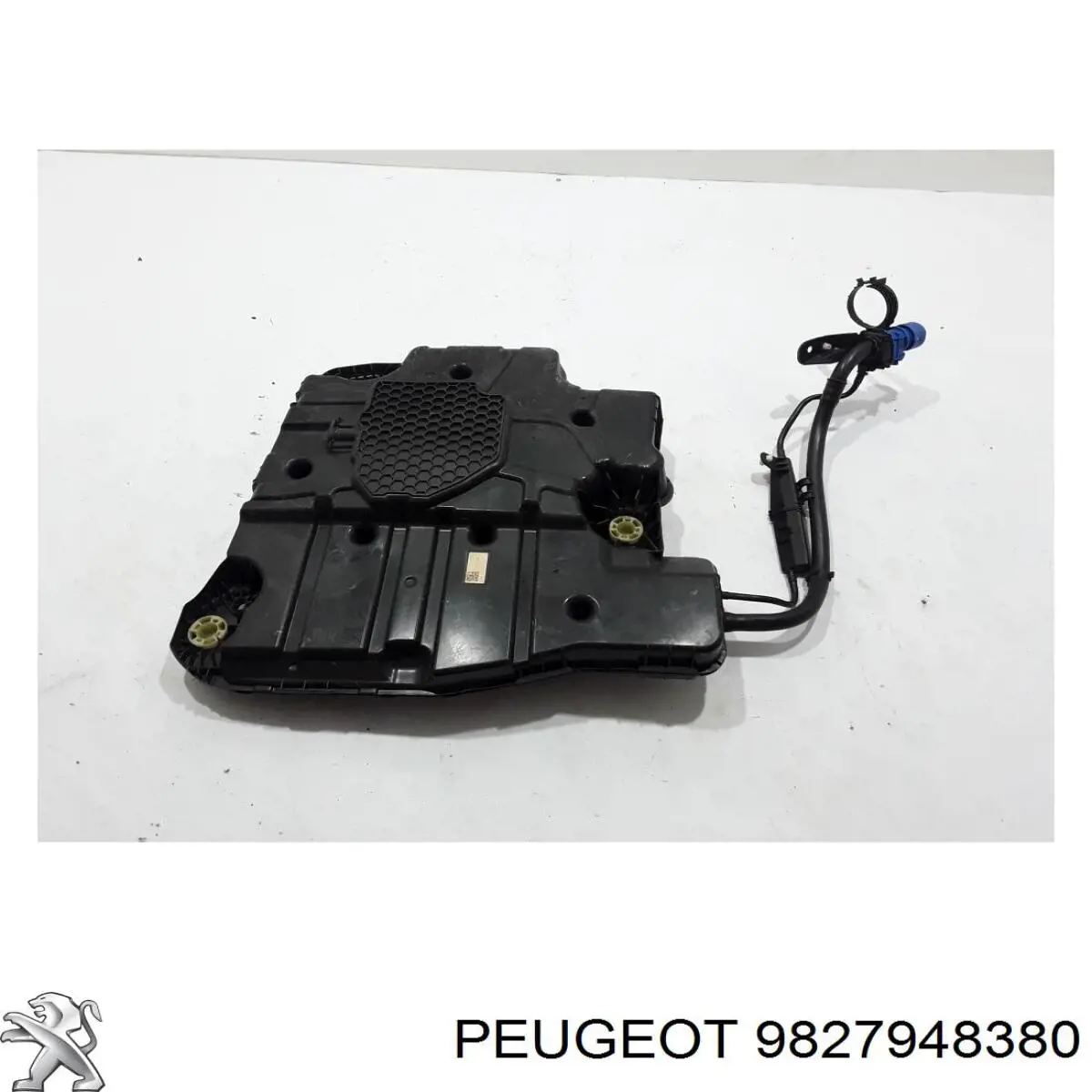 9827216280 Peugeot/Citroen Tanque AD BLUE