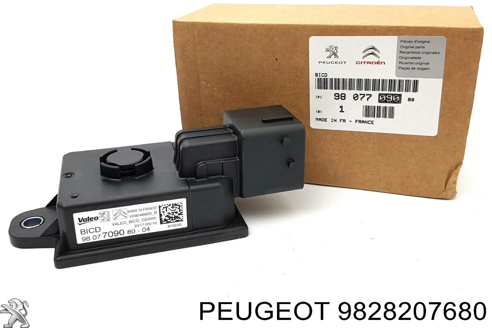 9828207680 Peugeot/Citroen Acesso externo esquerdo