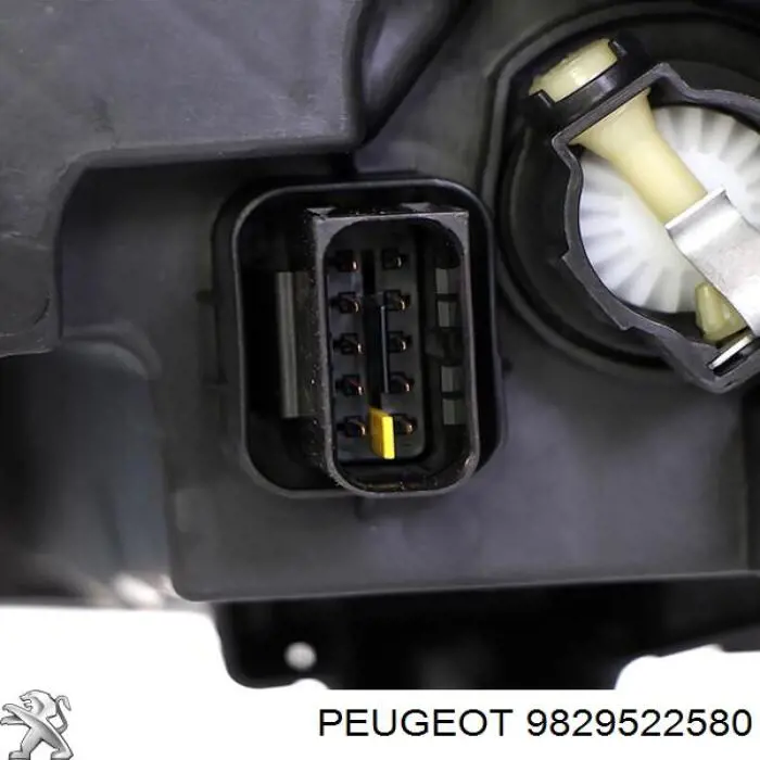 9829522580 Opel Luz direita