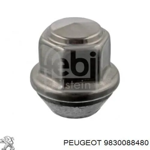  Peugeot/Citroen 9830088480