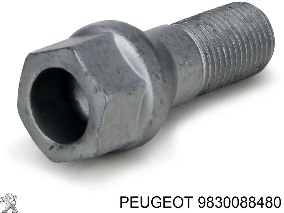 9830088480 Peugeot/Citroen 