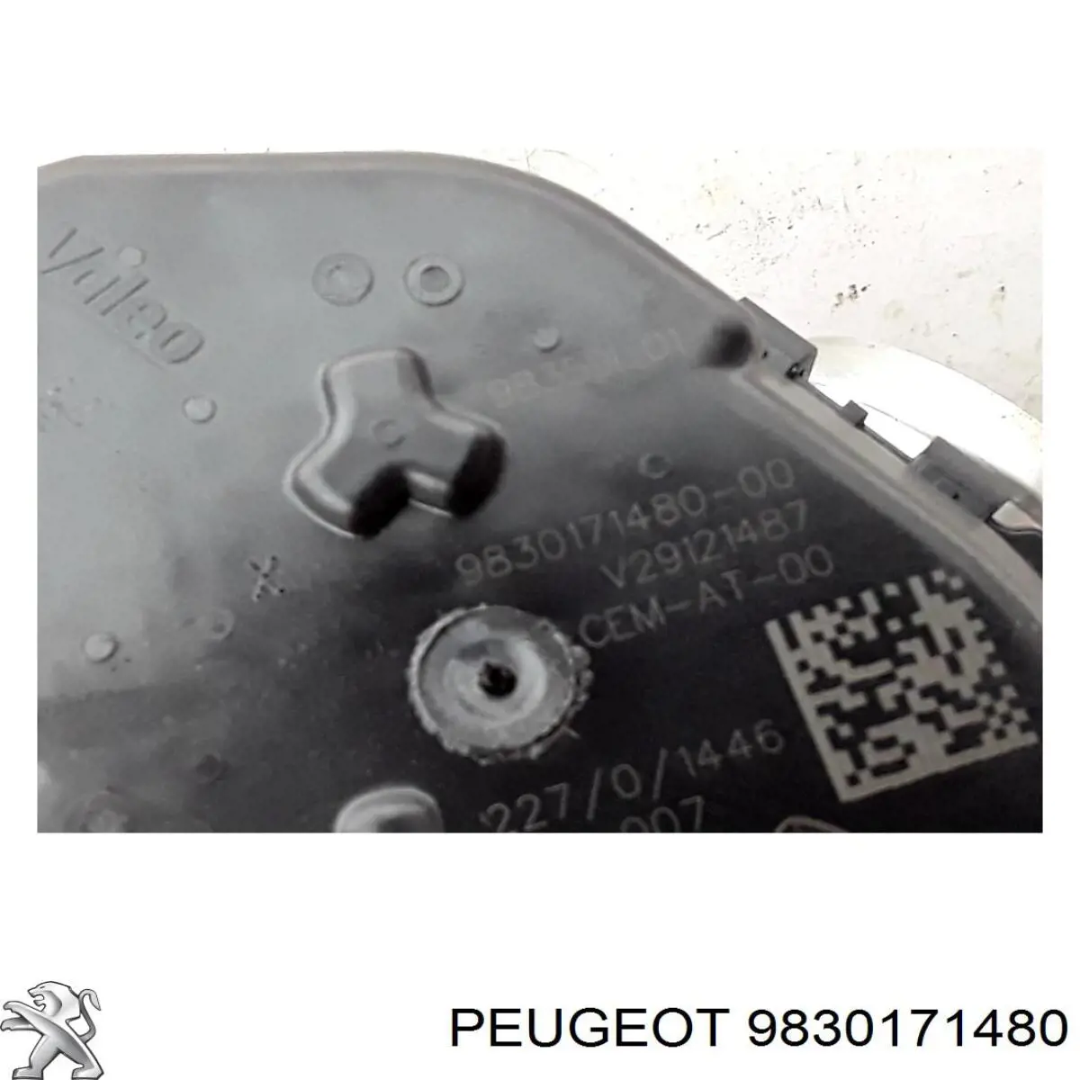 9830171480 Peugeot/Citroen Válvula de borboleta montada
