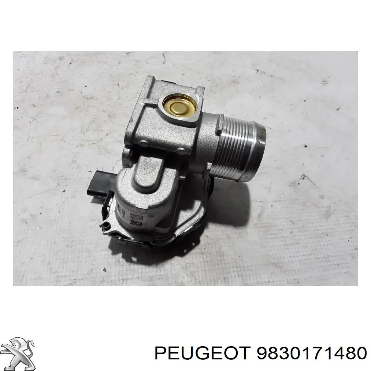Válvula de borboleta montada Peugeot/Citroen 9830171480 preço, a partir de 54,36 USD