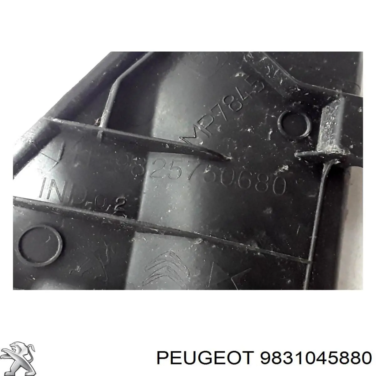 Compre 9831045880 Peugeot/Citroen Porta traseira (3ª/5ª porta-malas (tampa de alcapão)