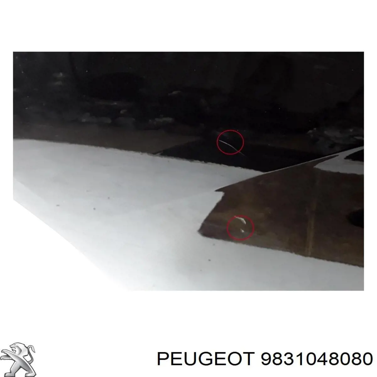 Porta traseira direita Peugeot/Citroen 9831048080