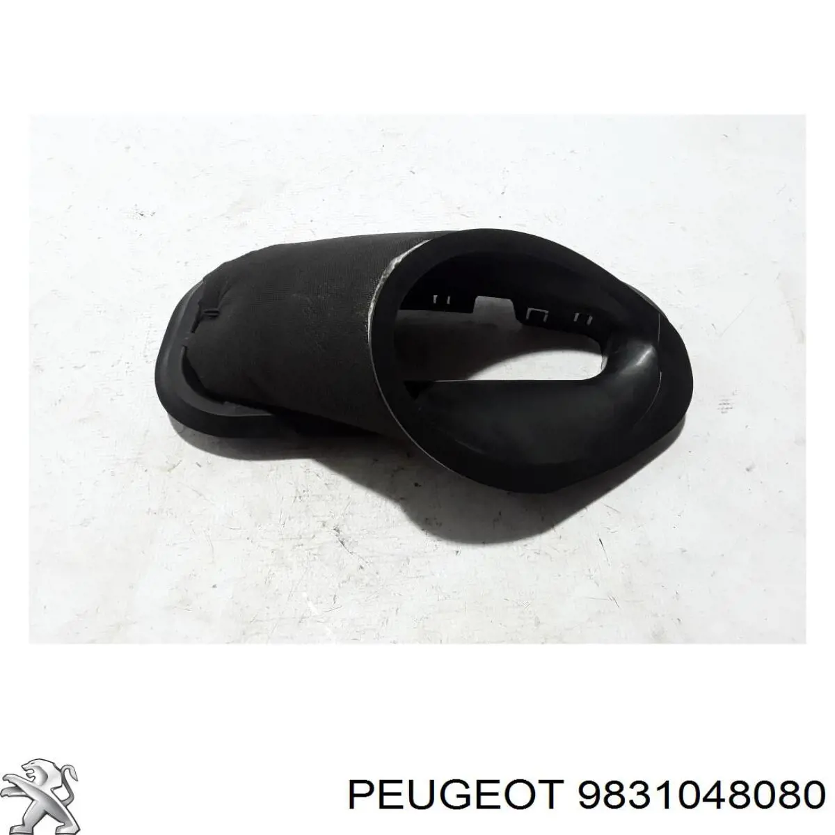 9831048080 Peugeot/Citroen Porta traseira direita