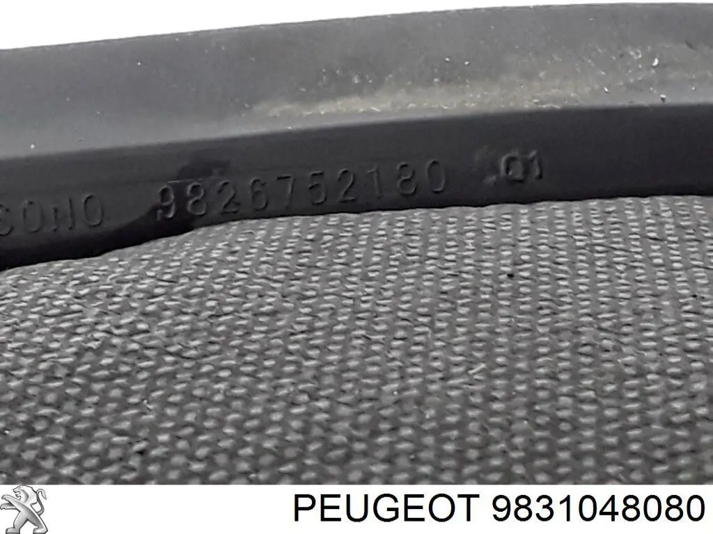 Compre 9831048080 Peugeot/Citroen Porta traseira direita