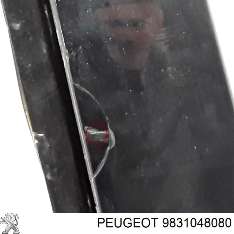 9831048080 Peugeot/Citroen Porta traseira direita