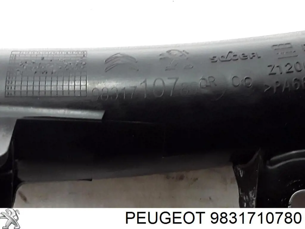 Compre 9831710780 Peugeot/Citroen Mangueira (cano derivado) de intercooler