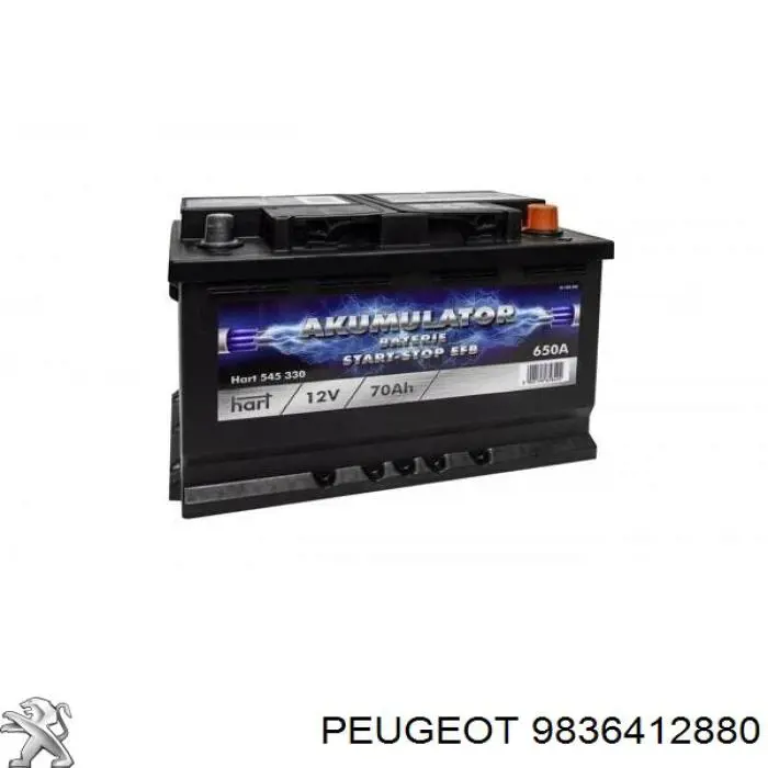 9836412880 Peugeot/Citroen Bateria recarregável (PILHA)