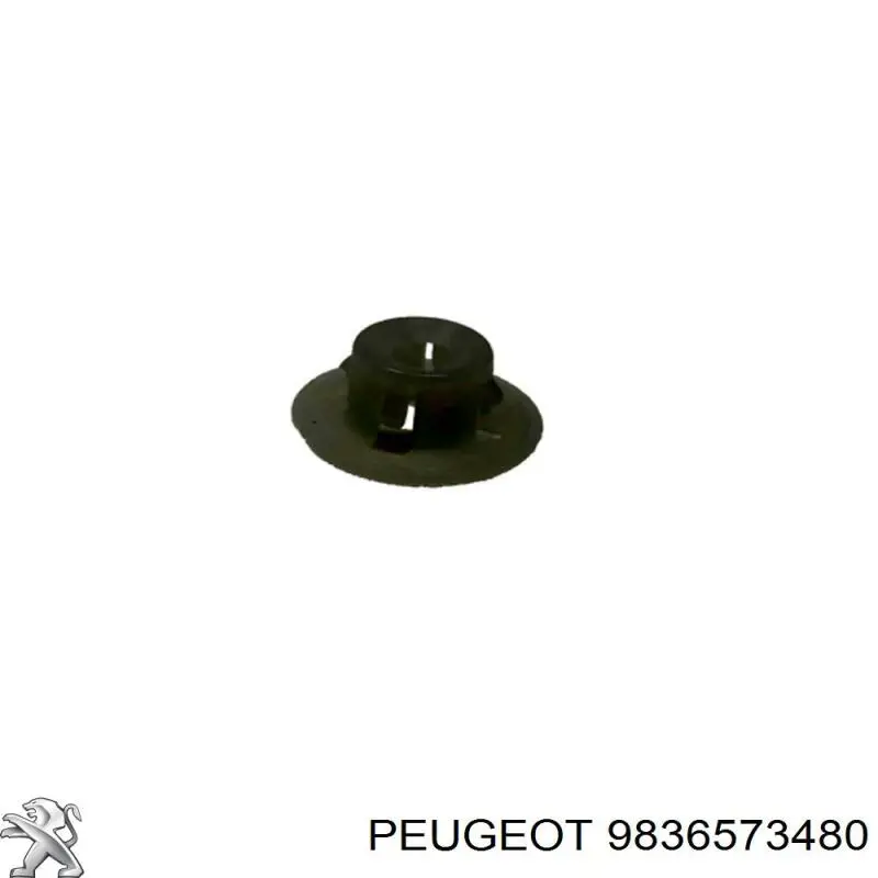 9836573480 Peugeot/Citroen 