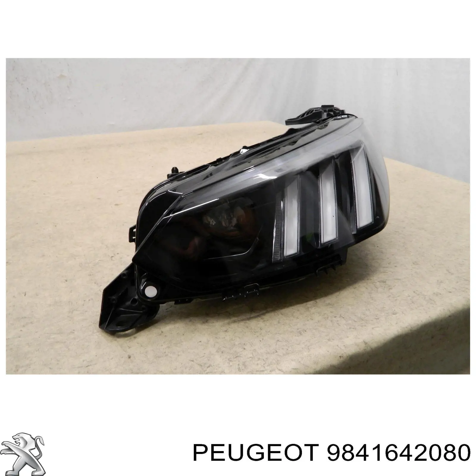 9841642080 Peugeot/Citroen Luz esquerda