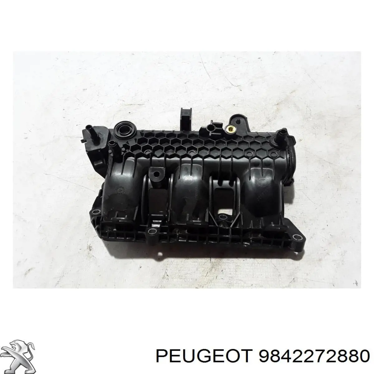 9802101480 Peugeot/Citroen Tubo coletor de admissão