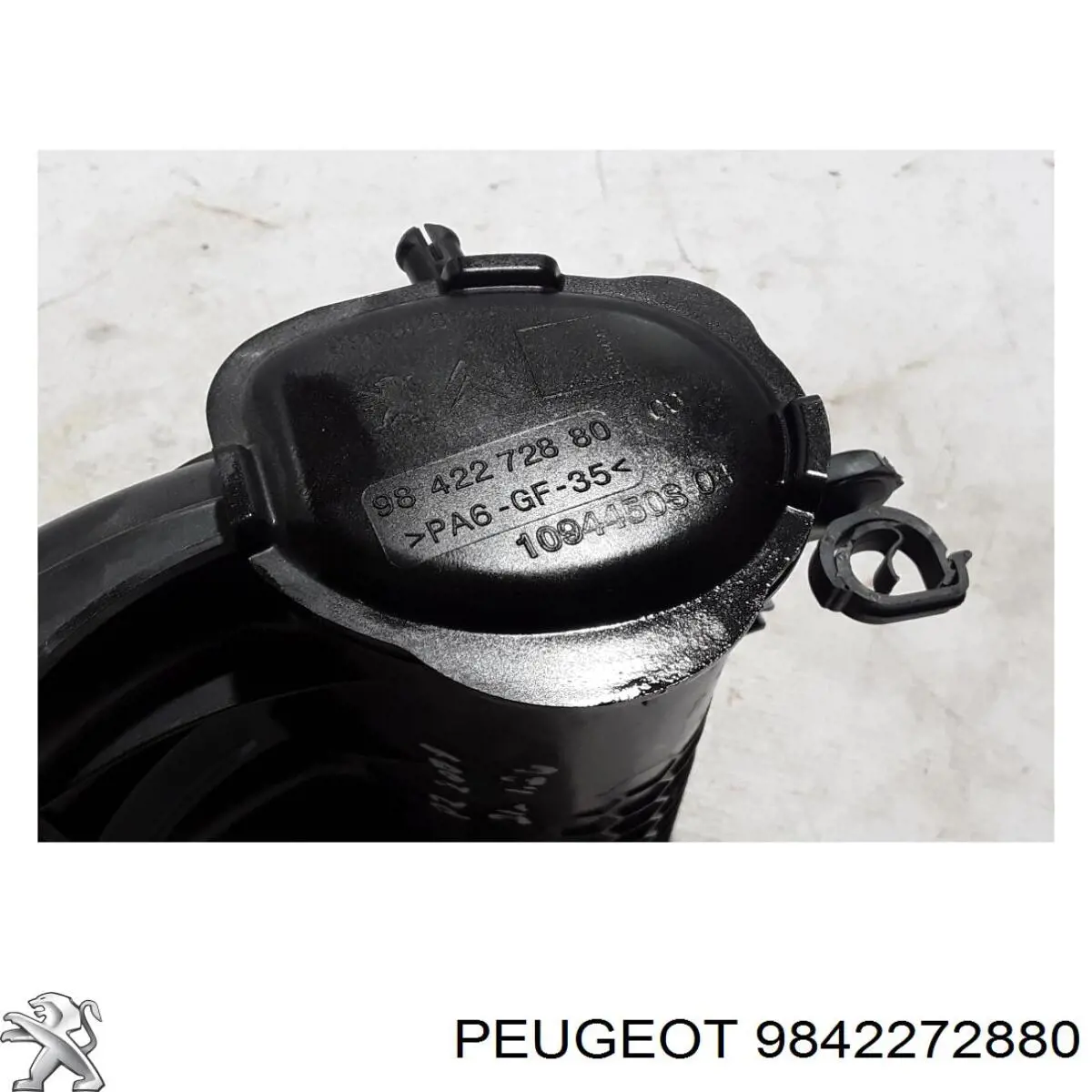 9842272880 Peugeot/Citroen Tubo coletor de admissão