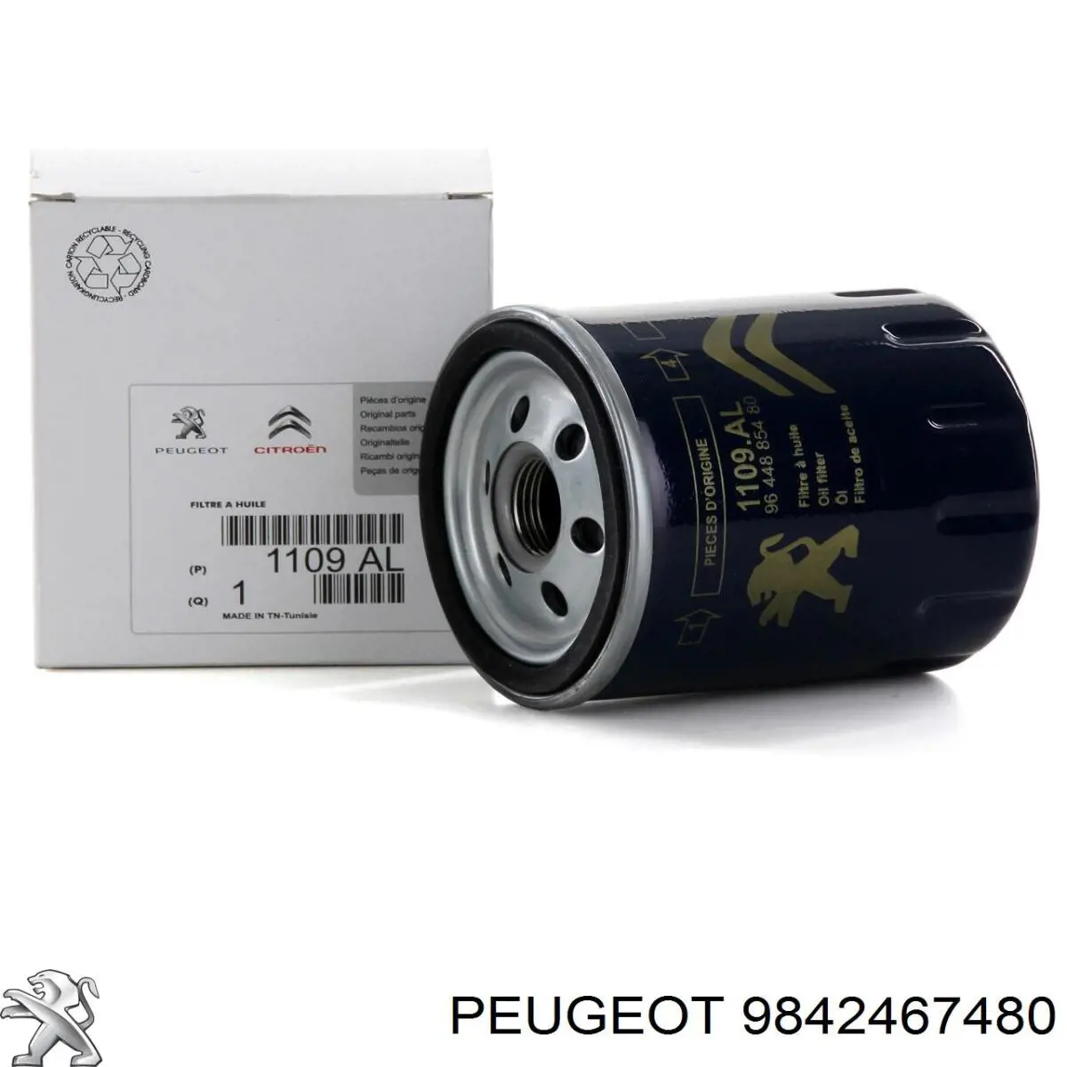9842467480 Peugeot/Citroen Válvula de escape
