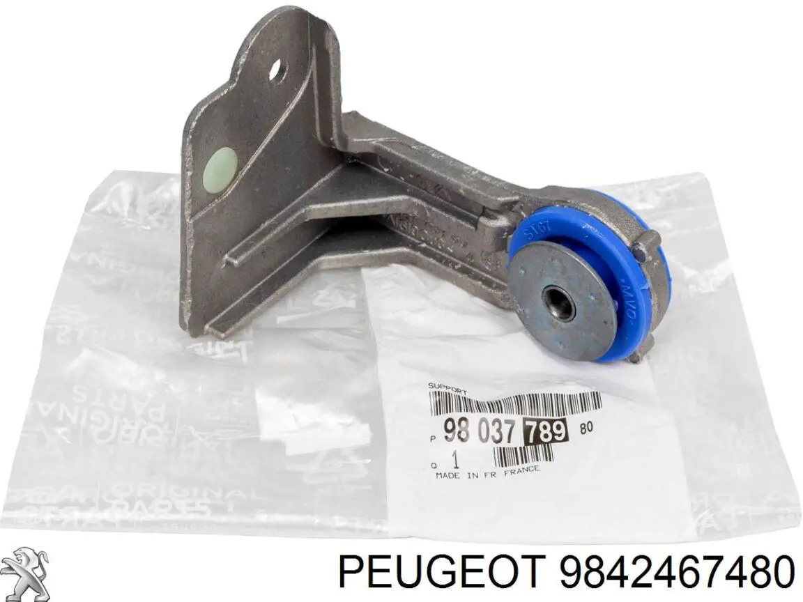 9842467480 Peugeot/Citroen Válvula de escape