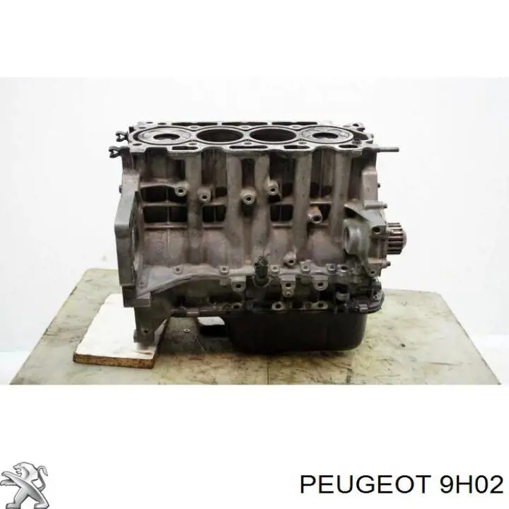 Bloco de cilindros de motor 9H02 Peugeot/Citroen