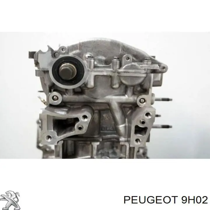 9H02 Peugeot/Citroen Bloco de cilindros de motor