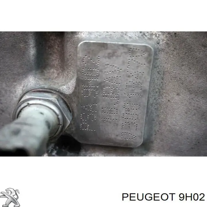 9H02 Peugeot/Citroen Bloco de cilindros de motor