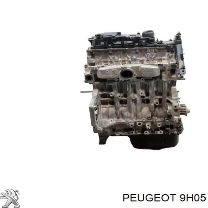 0139WQ Peugeot/Citroen Motor montado