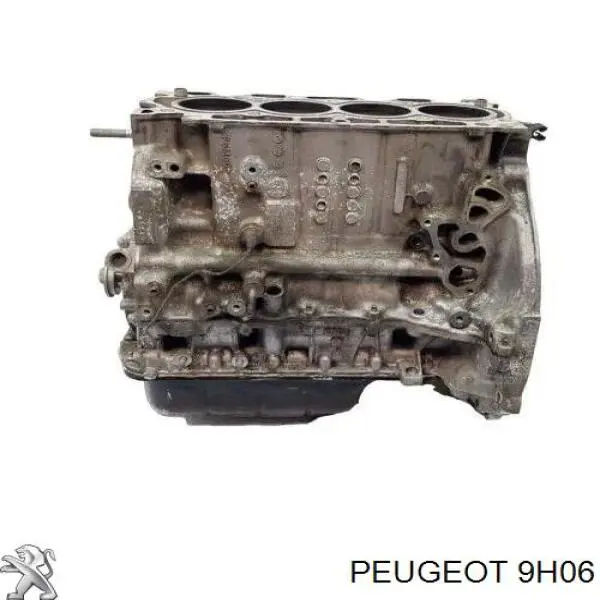 9H06 Peugeot/Citroen Motor montado