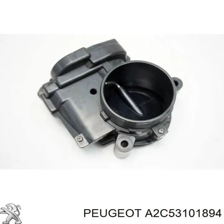 Compre A2C53101894 Peugeot/Citroen Válvula de borboleta montada