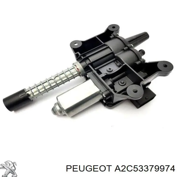  A2C53379974 Peugeot/Citroen