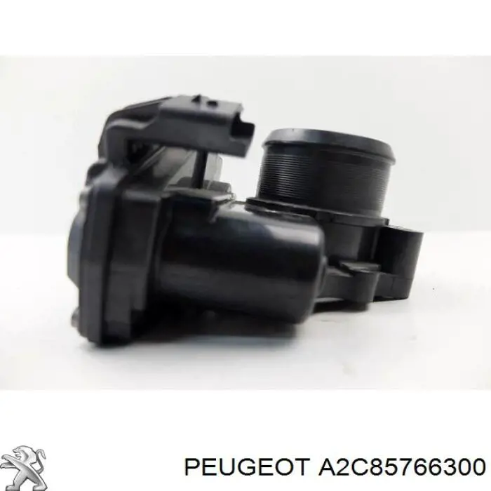 A2C85766300 Peugeot/Citroen 