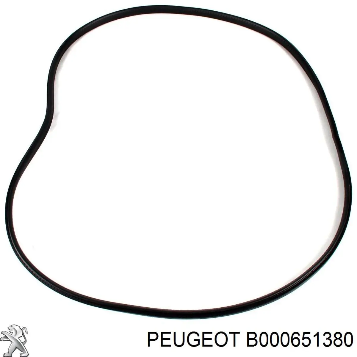  Peugeot/Citroen B000651380