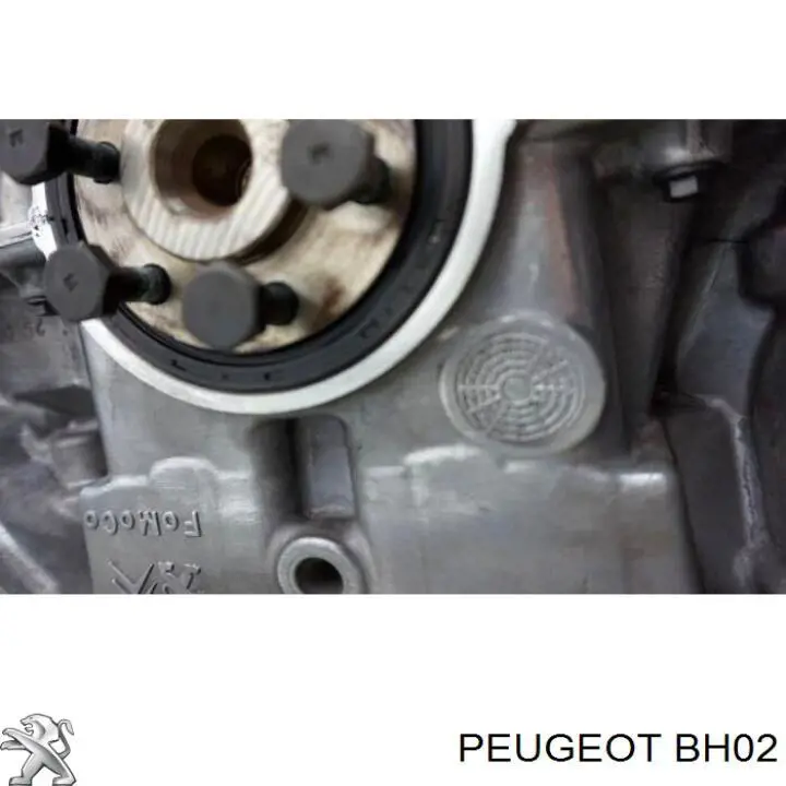 Compre BH02 Peugeot/Citroen Motor montado