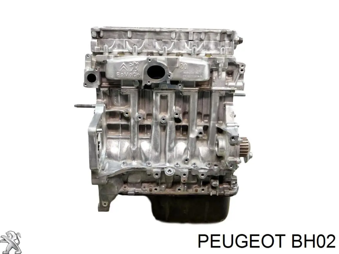 BH02 Peugeot/Citroen Motor montado