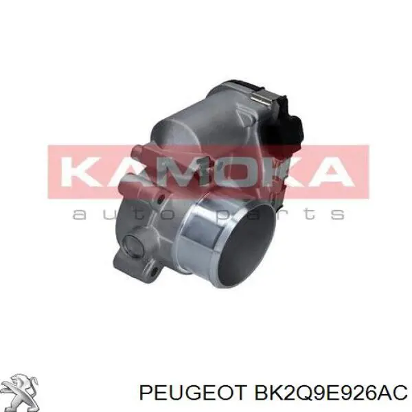 BK2Q9E926AC Peugeot/Citroen Válvula de borboleta montada