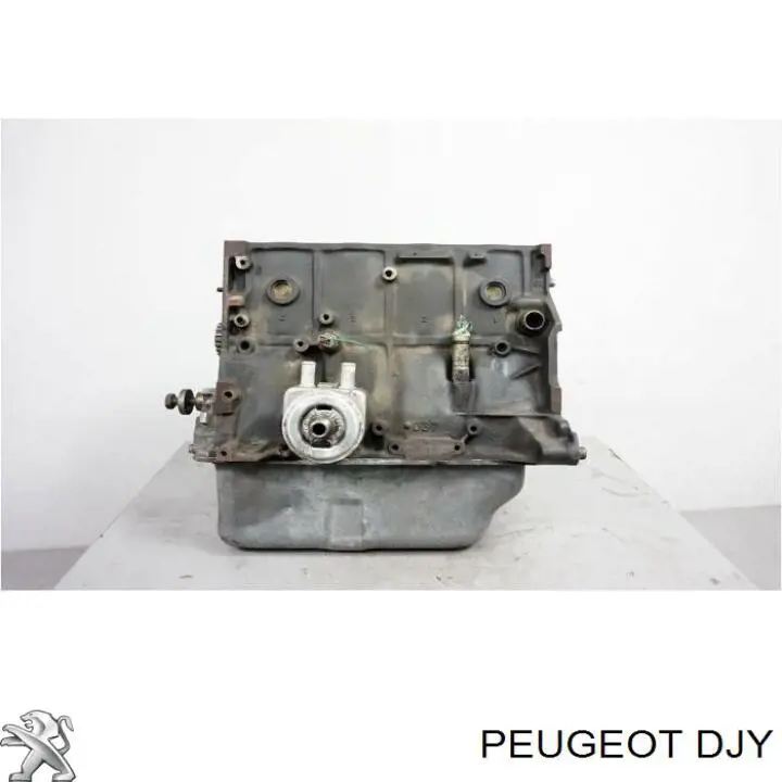 DJY Peugeot/Citroen Motor montado