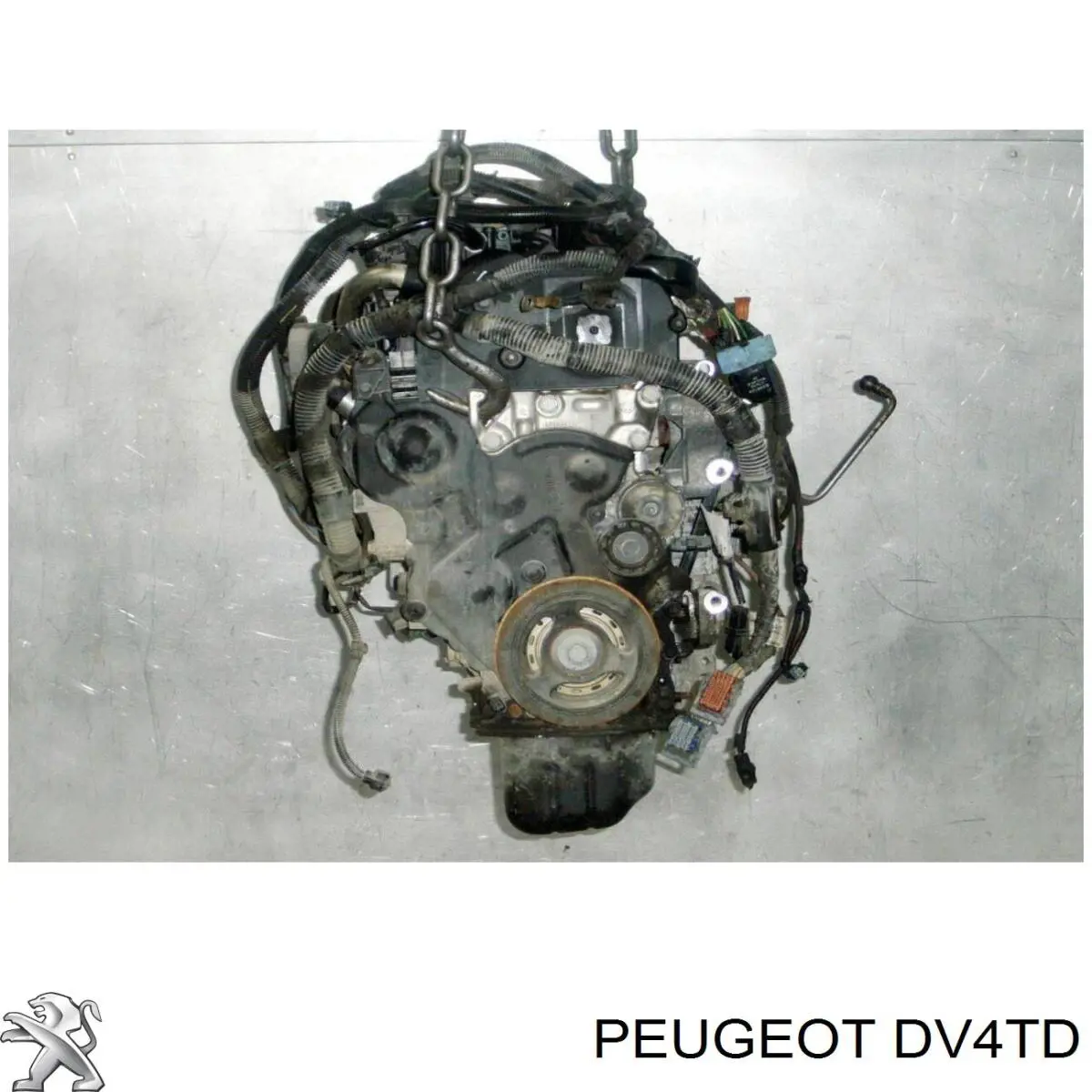 8HZDV4TD Peugeot/Citroen Motor montado