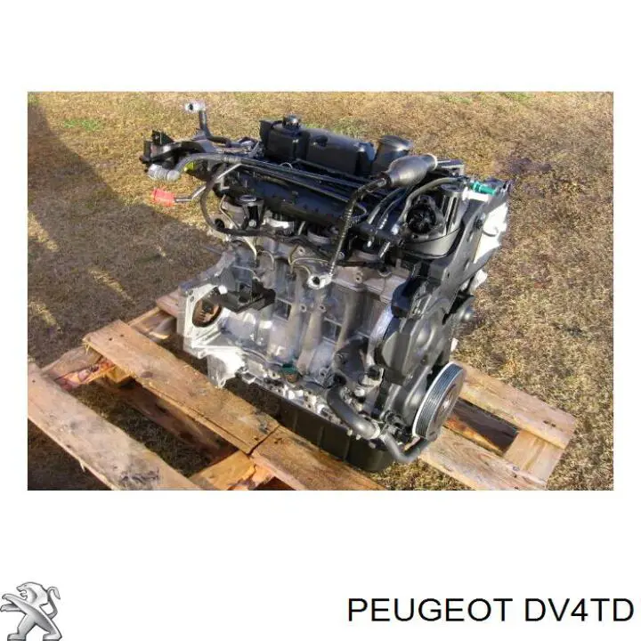 Motor montado Peugeot/Citroen 8HZDV4TD preço, a partir de 515,56 USD