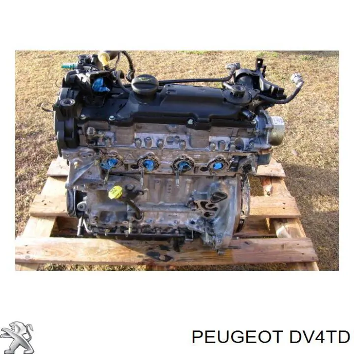 Motor montado Peugeot/Citroen 8HZDV4TD