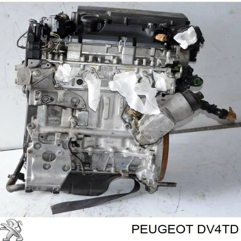Motor montado 8HZDV4TD Peugeot/Citroen