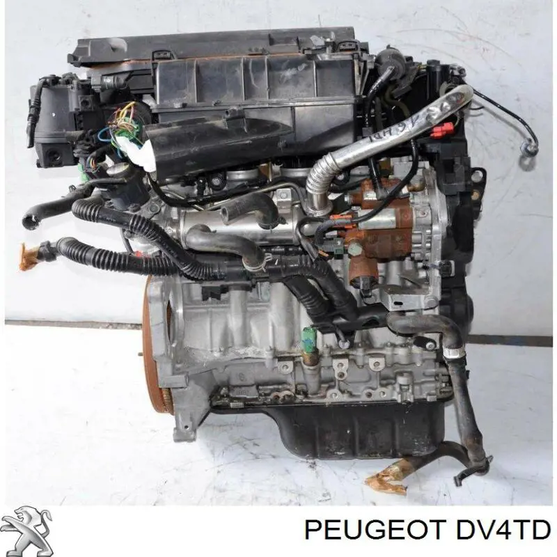 Compre 8HZDV4TD Peugeot/Citroen Motor montado