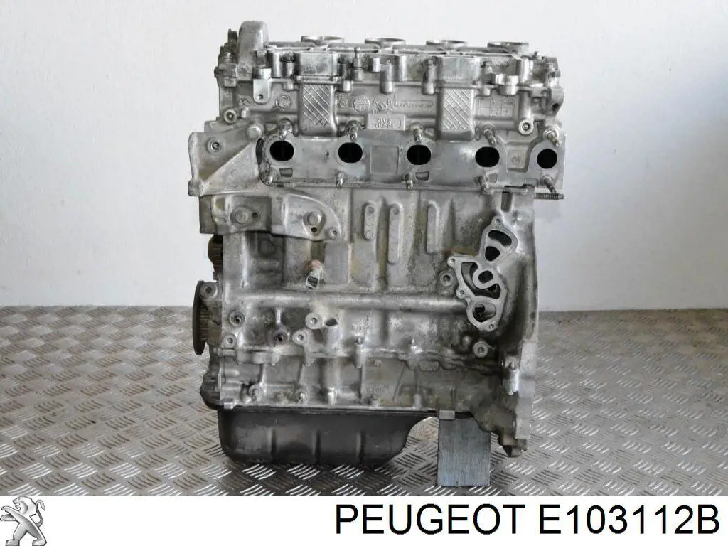 E103112B Peugeot/Citroen 