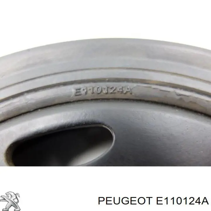  Peugeot/Citroen E110124A preço, a partir de 46,64 USD