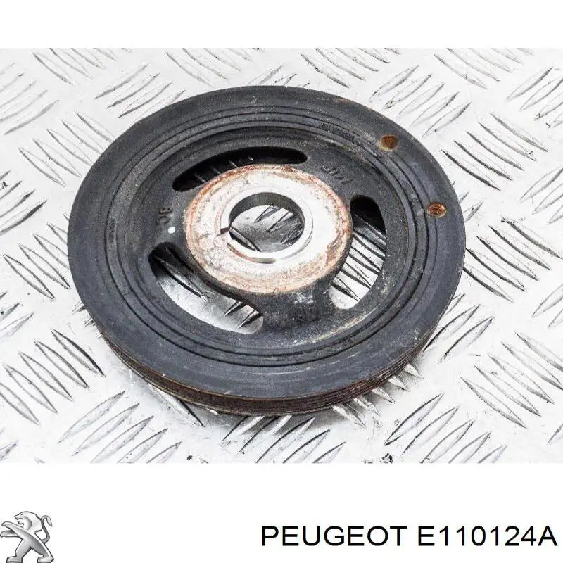 E110124A Peugeot/Citroen 