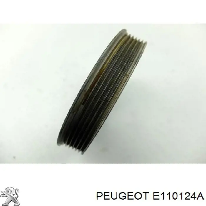 Compre E110124A Peugeot/Citroen 