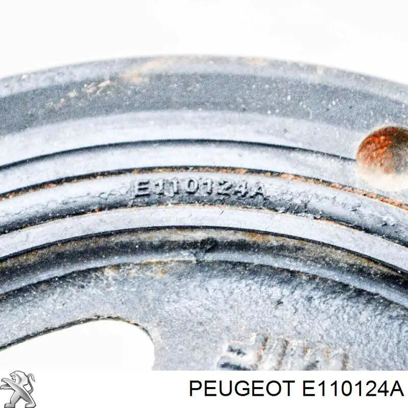  Peugeot/Citroen E110124A