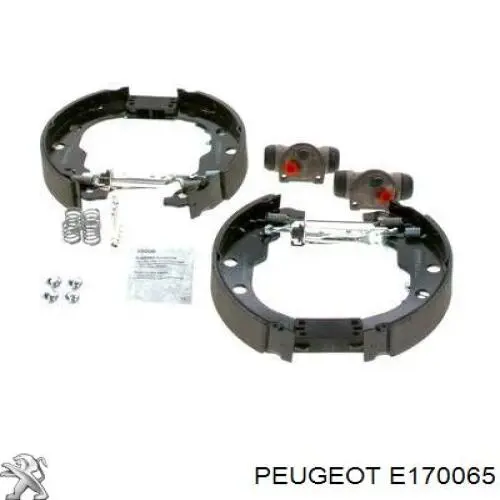 E170065 Peugeot/Citroen 