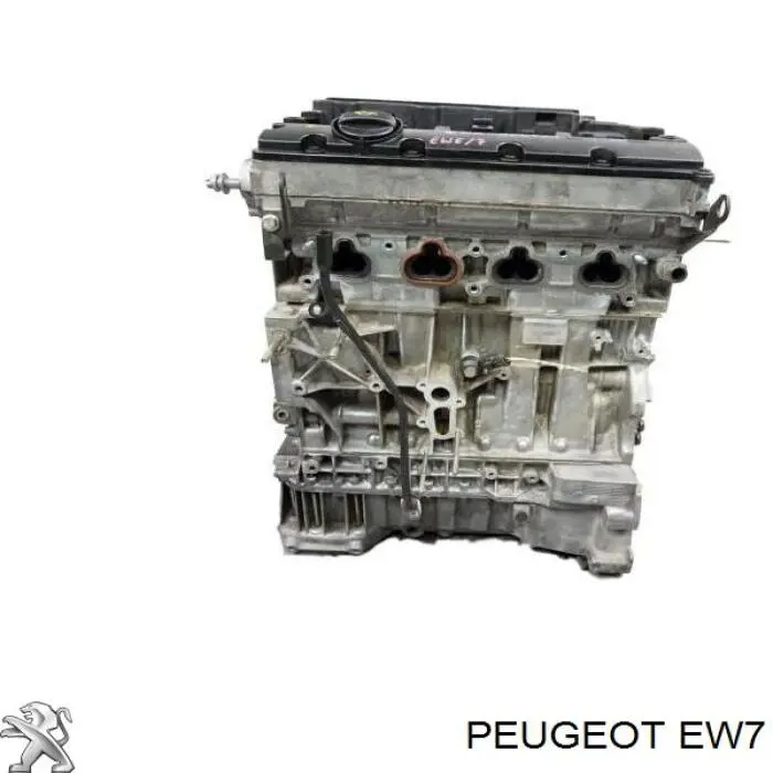 6FZ Peugeot/Citroen Motor montado